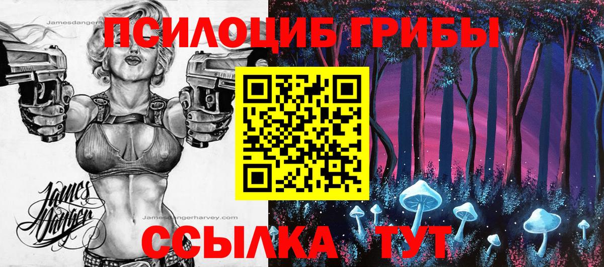 Псилоцибиновые грибы Cubensis Артём